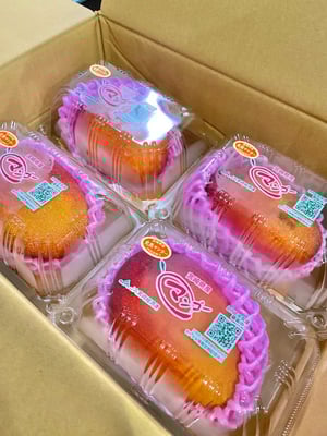 お礼の品の感想画像 1