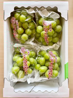 シャインマスカット、クリスマス特売 2025.08.09 NEW 『シャインマスカットと巨峰のパイ』🍇 本日より