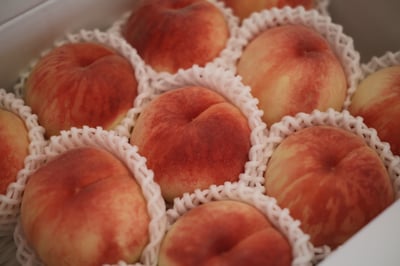 お礼の品の感想画像 1