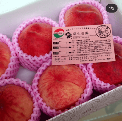 お礼の品の感想画像 1