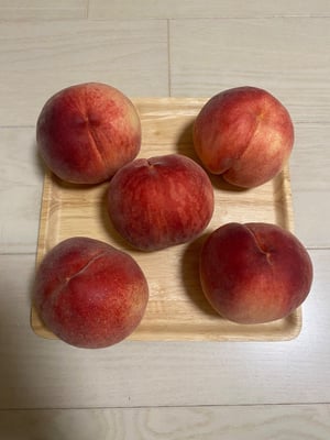 お礼の品の感想画像 1
