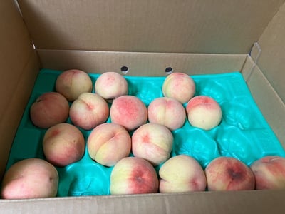 お礼の品の感想画像 3
