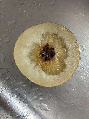 お礼の品の感想画像 1