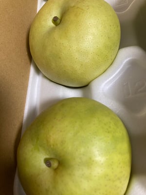 お礼の品の感想画像 1