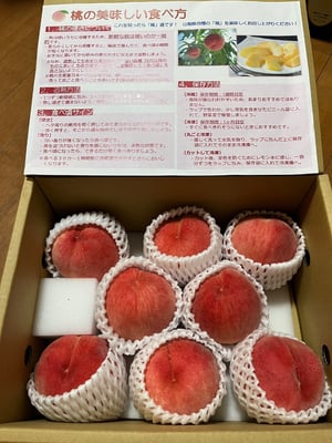 お礼の品の感想画像 1