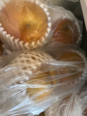 お礼の品の感想画像 1