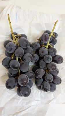 お礼の品の感想画像 1