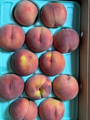 お礼の品の感想画像 1