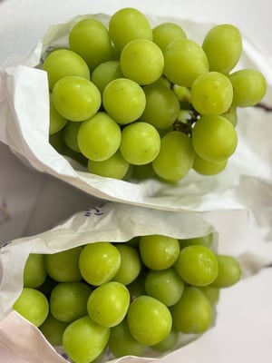 お礼の品の感想画像 1
