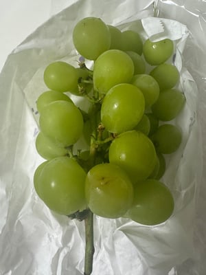 お礼の品の感想画像 1