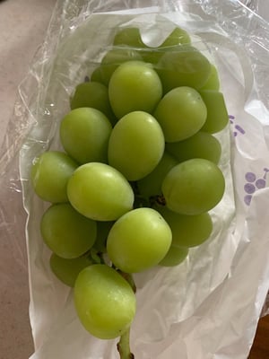 お礼の品の感想画像 1