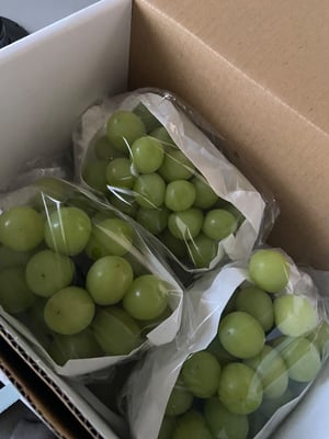 お礼の品の感想画像 1