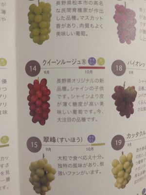 お礼の品の感想画像 2