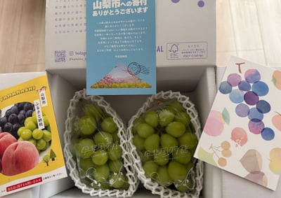 お礼の品の感想画像 1