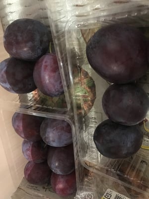 お礼の品の感想画像 1