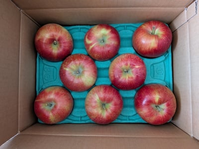 お礼の品の感想画像 1