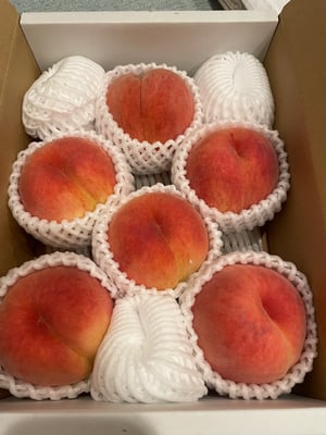 お礼の品の感想画像 1