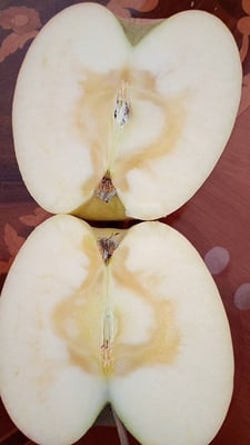 お礼の品の感想画像 2