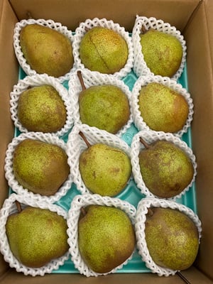 お礼の品の感想画像 1