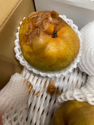 お礼の品の感想画像 2