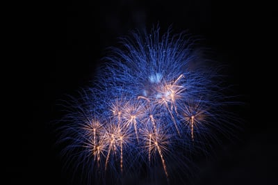 お礼の品の感想画像 2