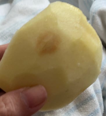 お礼の品の感想画像 2