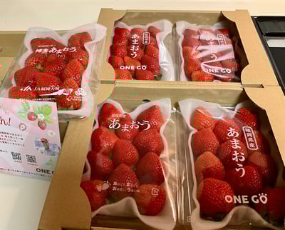 お礼の品の感想画像 2