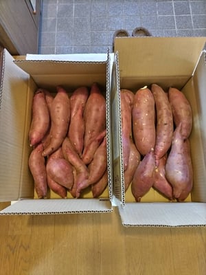 お礼の品の感想画像 1