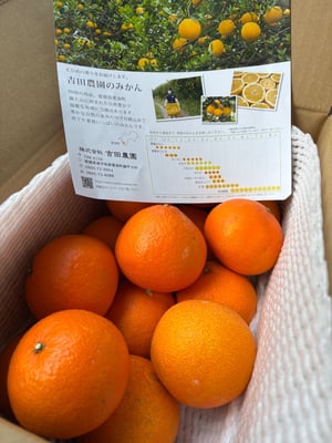 お礼の品の感想画像 1