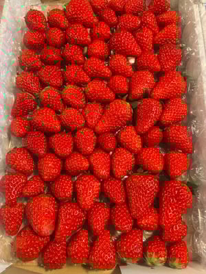 お礼の品の感想画像 2