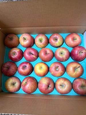 お礼の品の感想画像 1