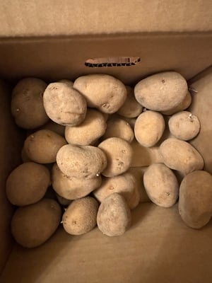 お礼の品の感想画像 1