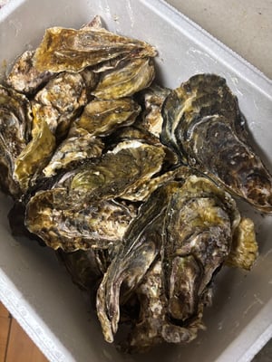 お礼の品の感想画像 1