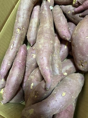 お礼の品の感想画像 1