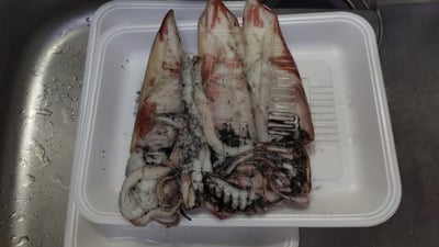 お礼の品の感想画像 2