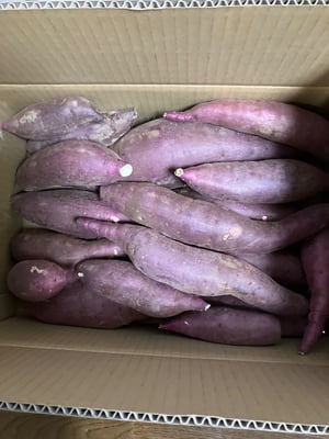 お礼の品の感想画像 1