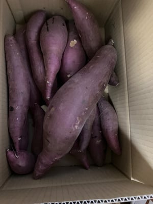 お礼の品の感想画像 2