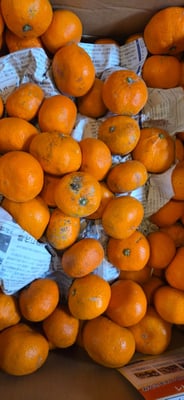 お礼の品の感想画像 1