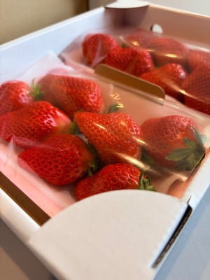 お礼の品の感想画像 2