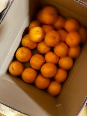 お礼の品の感想画像 1