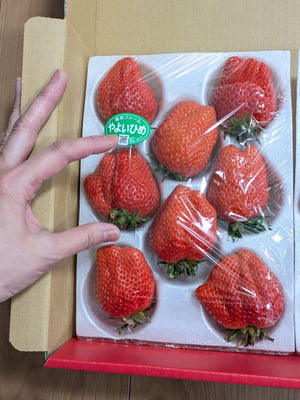 お礼の品の感想画像 2