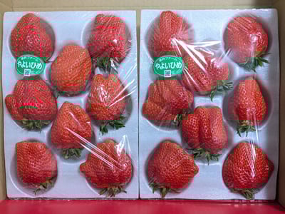 お礼の品の感想画像 3