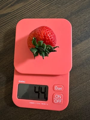 お礼の品の感想画像 3