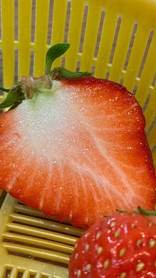 お礼の品の感想画像 2