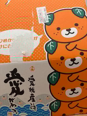 お礼の品の感想画像 2