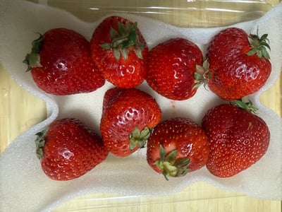 お礼の品の感想画像 2