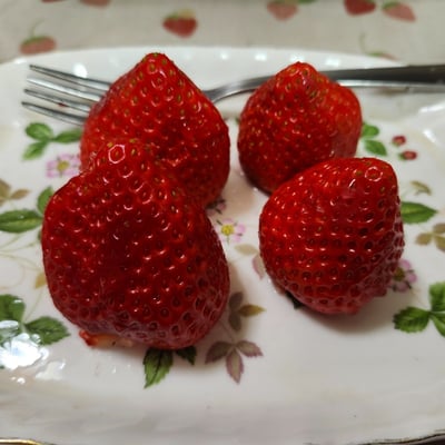 お礼の品の感想画像 3