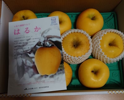 お礼の品の感想画像 2