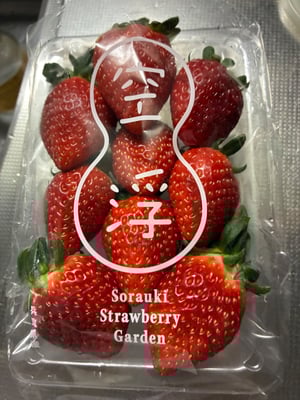 お礼の品の感想画像 1