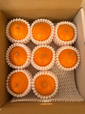 お礼の品の感想画像 1